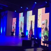 Sanlam Event LED Screen Pannels