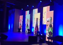 Sanlam Event LED Screen Pannels