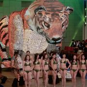 Miss Hong Kong Tiger Artwork LED Screens Digital Display