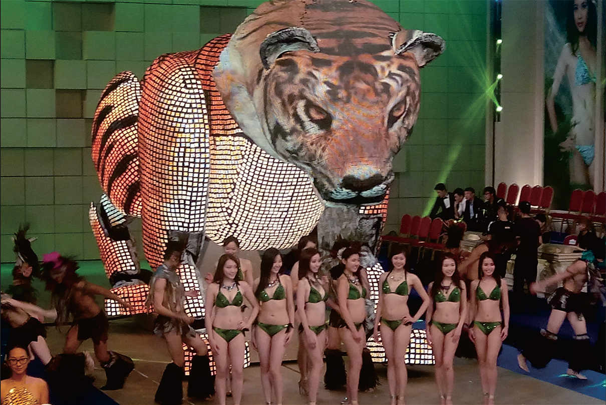 Miss Hong Kong Tiger Artwork LED Screens Digital Display