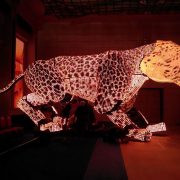 Miss Hong Kong Tiger Artwork LED Screens Digital Display